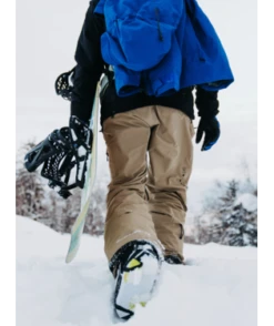 Burton AK Cyclic GORE-TEX 2L Pant -Ski Gear Shop akcyclicgore tex2lpa 0z3ae201.3sj