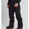 Burton Gore Ballast Pant