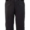 Spyder Sentinel GTX Pant - Regular - Ebony