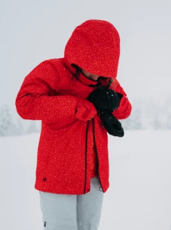 Burton AK Upshift GORE-TEX 2L Wmns Jacket - Panthera